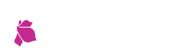 ��ҳ